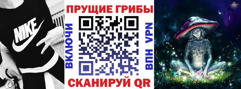 ссылка на мегу ссылки  цены наркотик  Липецк  Псилоцибиновые грибы ЛСД 